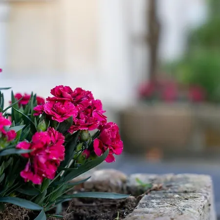 Ferienhaus Yiasemi Maison *