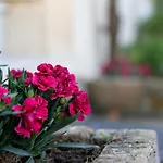 Сasa de vacaciones Yiasemi Maison *