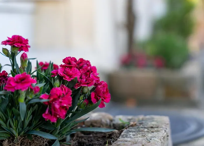 Дом отдыха Yiasemi Maison *